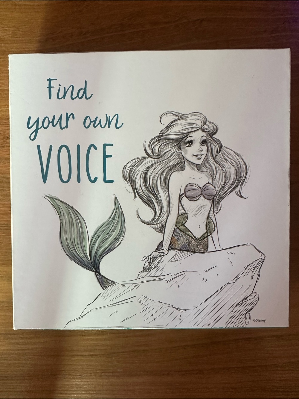 Disney Ariel Mermaid 🧜🏻‍♀️ Neutral Wood-Look Shadow Box Frame